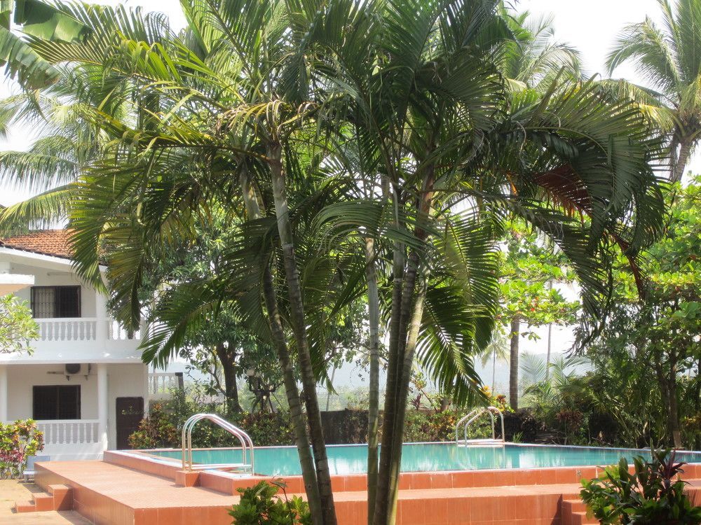 Hotel Riverside 巴加 外观 照片